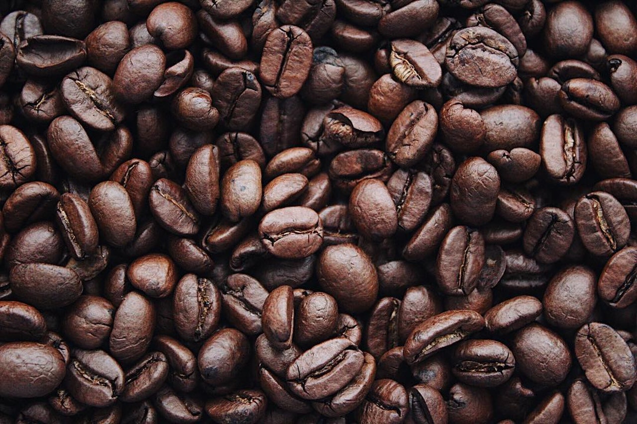 About Bear Coffee - Coffee Beans