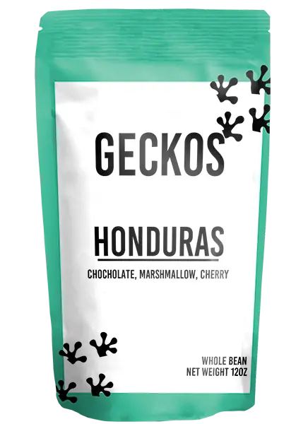 Geckos - Honduras